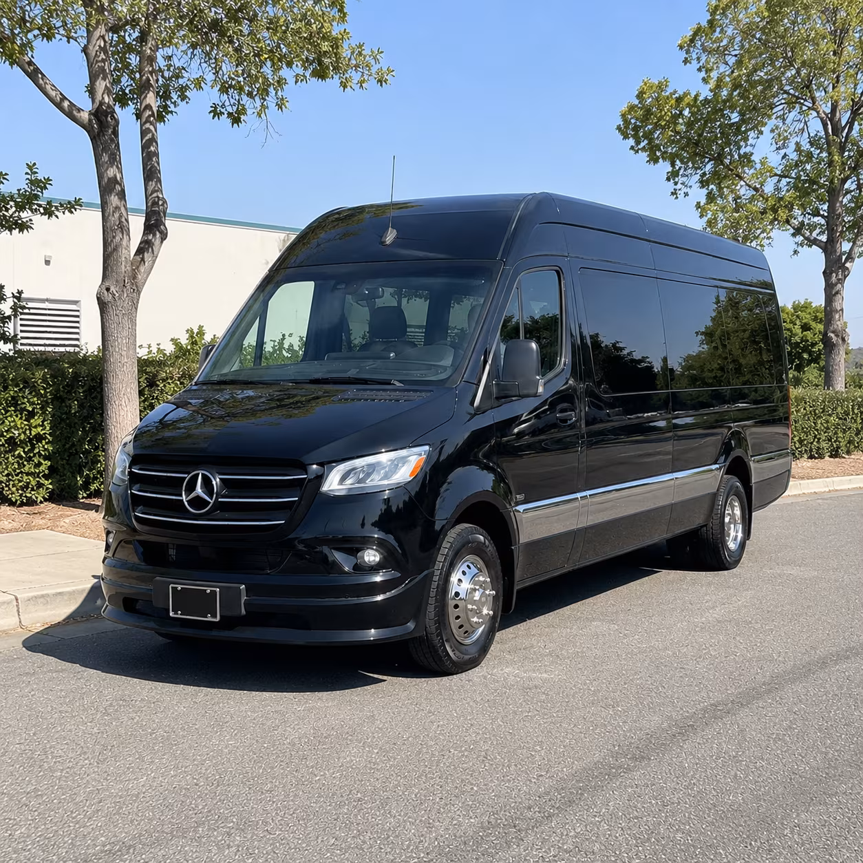 reserve transportation for your next prom 1