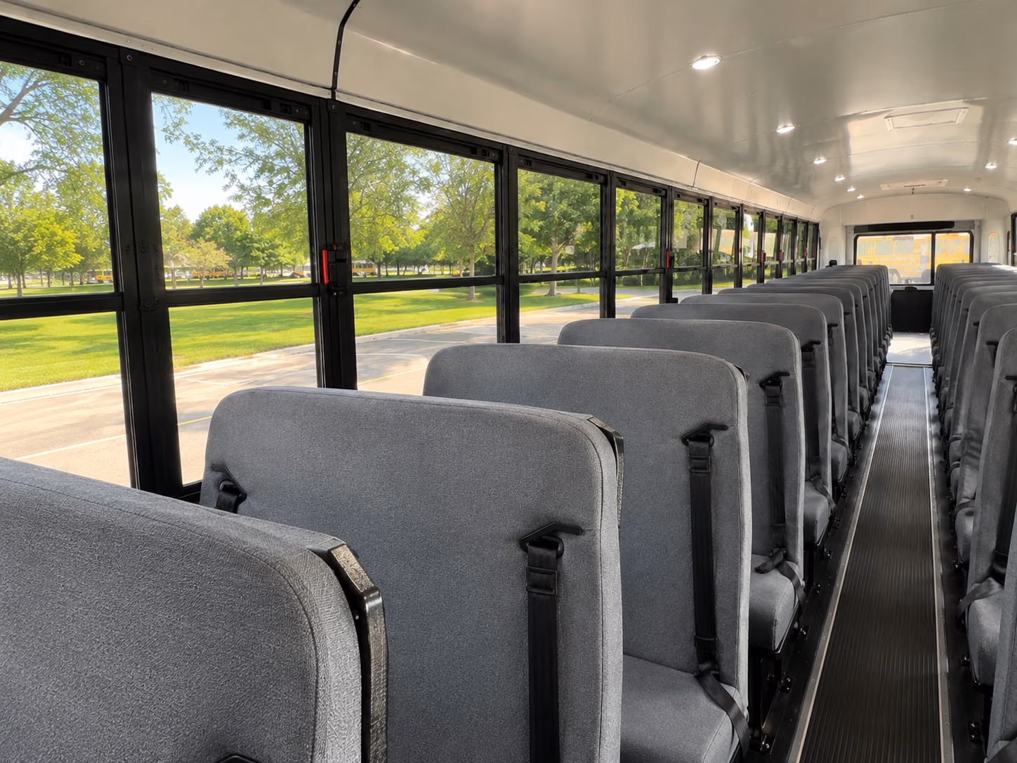 school buses for pueblo zoo and nature based field trips